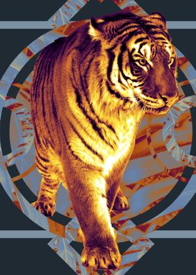 Tiger Vol 1