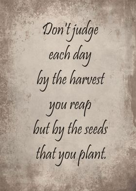 The seeds that you plant