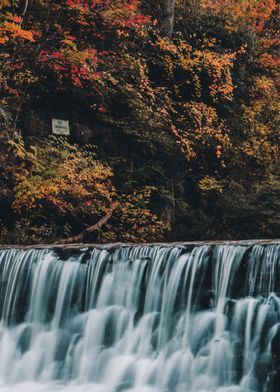 Foliage Falls