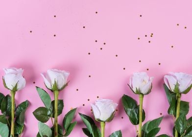 Pink roses flowers