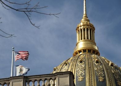 Golden Dome on a windy day