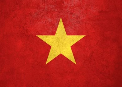 Flag of Vietnam on Wall