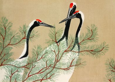 Cranes from Momoyogusa