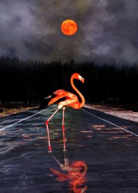 Flamingo and Red Moon