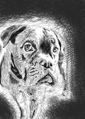 dog scribble art