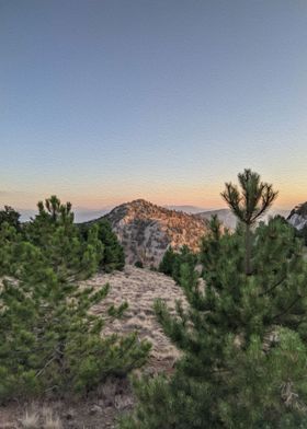 Turkish Nature with brush