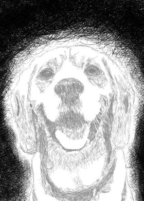 dog scribble art