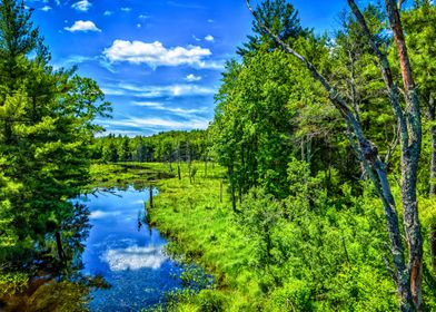 West Branch Ware River