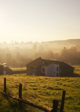 Cottage in the meadow