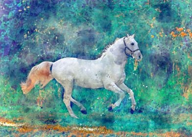 Cool Horse Painting