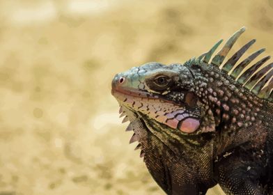 Green Iguana Portrait