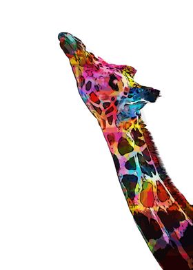 giraffe