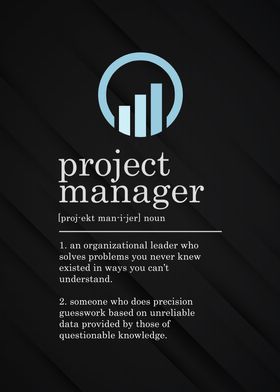 Project Manager Definition