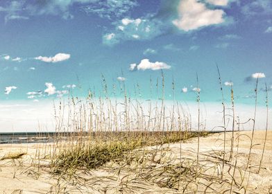 Amelia Island Dunes