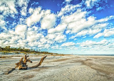 Amelia Island Dunes