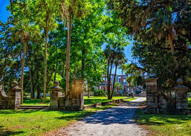 Cumberland Island