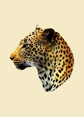 Leopard portrait