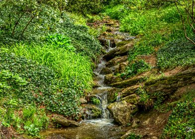 Small Mountain Waterfall