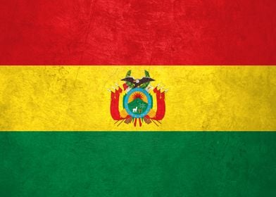 Flag of Bolivia on Wall