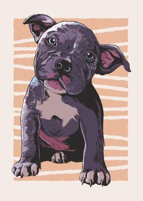 Pitbull Portrait Pup