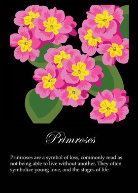 Primroses poster