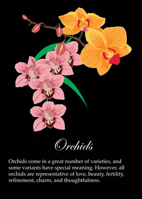 Orchids poster