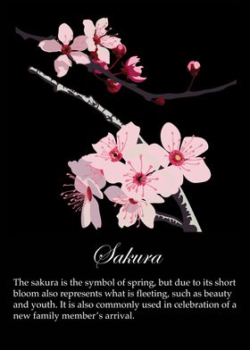 Sakura poster