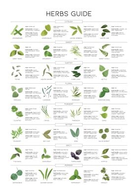 Herbs guide