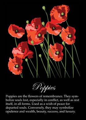 Poppies poster