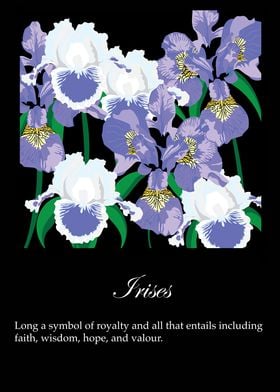 Irises poster