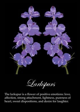 Larkspurs poster