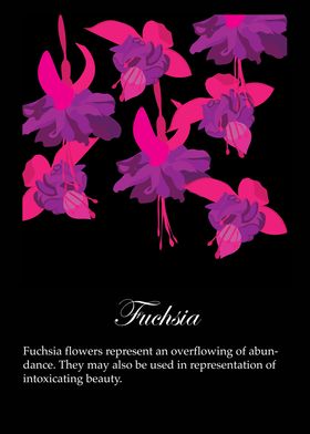 Fuchsias poster