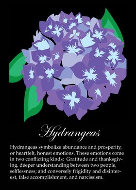 Hydrangeas poster