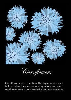 Cornflowers poster