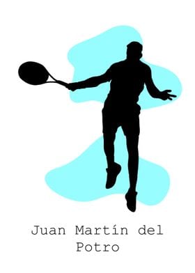 Juan Marin del Potro Color