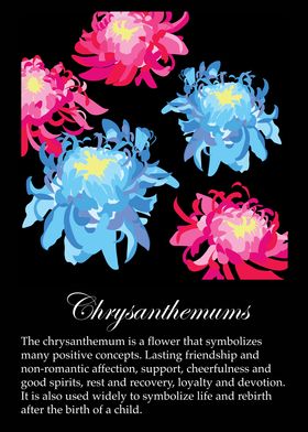 Chrysanthemums poster