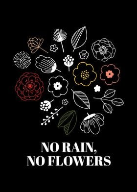 No Rain No Flowers