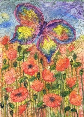 Butterfly and poppies 2