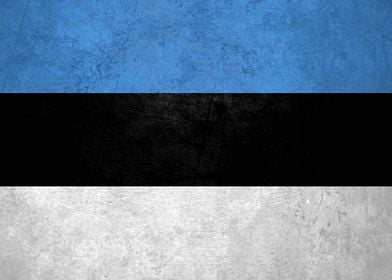 Flag of Estonia on Wall