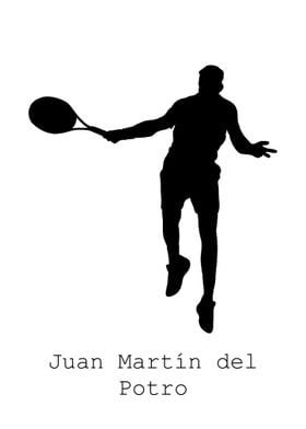 Juan Marin del Potro 