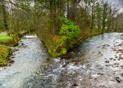 CraigyNos Country Park