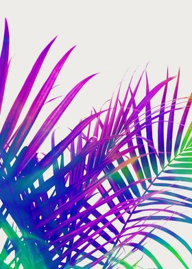 Colorful Palm