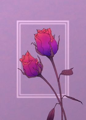 Violet Roses