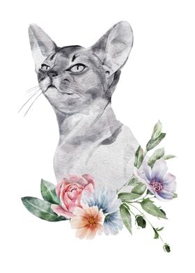 Watercolor paint Cat