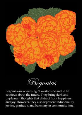 Begonias poster