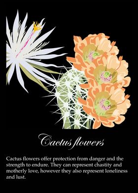 Cactus flowers poster