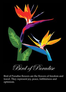 Bird of paradise poster