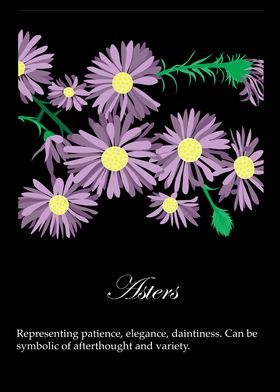 Asters poster