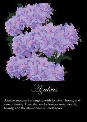 Azaleas poster