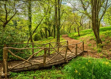 Hiking Trail Bridge